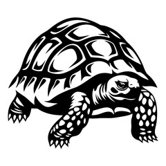 Black and white stylized turtle illustration with detailed shell pattern and claws