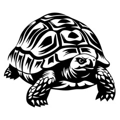 Majestic Black and White Turtle Illustration Depicting Strength and Resilience on White Background