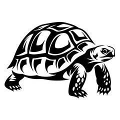 Stylized tortoise artwork in black and white showing intricate details and design