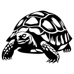 Majestic Tortoise in Detailed Black and White Silhouette Illustration