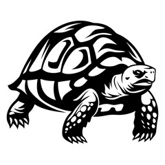 Monochrome depiction of a land turtle with detailed shell design elements