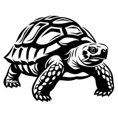 Monochromatic Detailed Illustration of a Turtle Walking Across a White Background