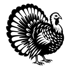 Striking Black and White Turkey Illustration Ready for Thanksgiving Festivities