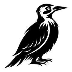 Stylized Black and White Illustration of a Woodpecker Standing Proudly