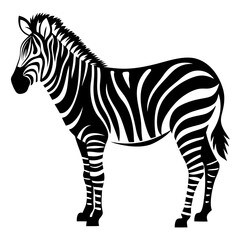 Striking black and white vector image of a beautiful standing zebra