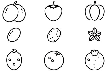 colorful jujube fruit assortment