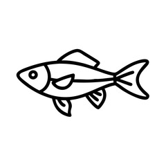 celestial pearl danio fish line drawn outline vector art - illustration celestial pearl danio fish, isolated transparent background