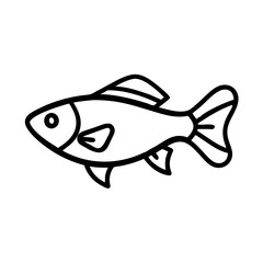 celestial pearl danio fish line drawn outline vector art - illustration celestial pearl danio fish, isolated transparent background