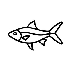 rasbora fish line drawn outline vector art - illustration rasbora fish, isolated transparent background