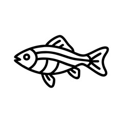 zebra danio fish line drawn outline vector art - illustration zebra danio fish, isolated transparent background