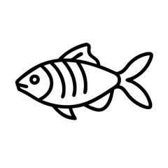 zebra danio fish  line drawn outline vector art - illustration zebra danio fish, isolated transparent background