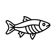 zebra danio fish line drawn outline vector art - illustration zebra danio fish, isolated transparent background