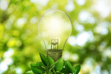 Glowing light bulb and lush green leaves under bright sunlight. Eco-friendly energy