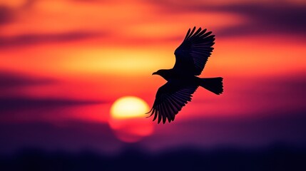 Solitary bird soars against a vibrant sunset sky, embodying freedom and hope