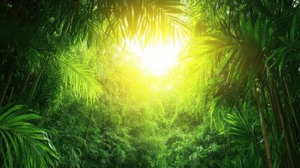 Lush jungle canopy, sunlight filtering through leaves.  Possible use Nature wallpaper, background image
