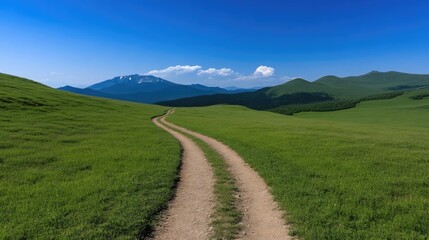 Winding path through lush green meadow, leading to distant mountains under a clear blue sky