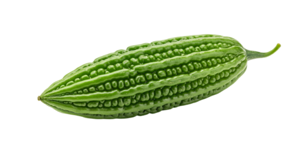  single, fresh green bitter gourd, also known as karela or bitter melon, a nutritious vegetable popular in various Asian cuisines.