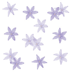 紫の花の手描き水彩画イラストセットベクター