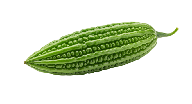  single, fresh green bitter gourd, also known as karela or bitter melon, a nutritious vegetable popular in various Asian cuisines.