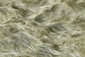 Soft sage fabric creates a textural backdrop with a cozy, tactile feel, perfect for winter or holiday themed projects.