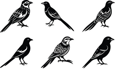 Fototapeta premium Lilac breasted roller animal bird silhouette black vector art set design