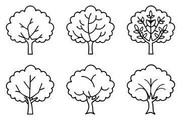 diverse oak tree types