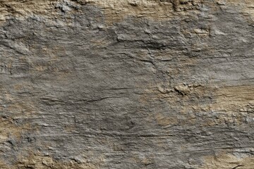 A textured ash surface displays subtle grain and grayscale tones, creating a moody, weathered backdrop perfect for creative projects.