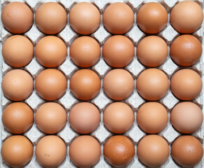 Fresh organic brown chicken eggs in cardboard tray