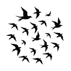 A majestic stag stands silhouetted in a misty, golden field on white background
