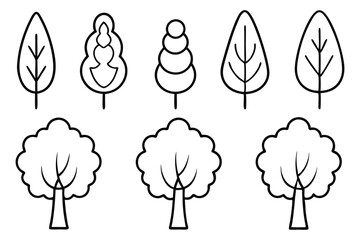 Poplar Tree Vector Collection