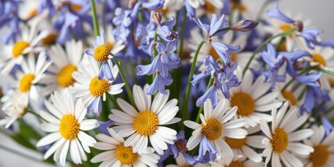Spring Bouquet Daisies Bluebells Flowers Nature Bloom