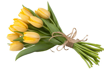 Obraz premium A bouquet of yellow tulips, tied with twine and placed on a transparent background
