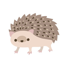 かわいいハリネズミの全身のイラスト素材