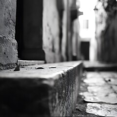 Black and white photo of a brick wall with a leaf on it
