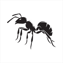 Ants and Germs Illustration: Depicting Insect and Microbe Interaction