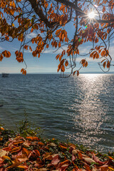 A scenic lakeside view with autumn leaves in shades of orange and red covering the ground and...