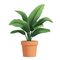 green plant in a pot