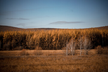 Autumn scenery in Arxan, Inner Mongolia, China