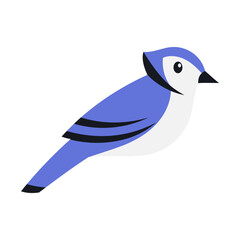 Vector Illustration of a Blue Jay Bird