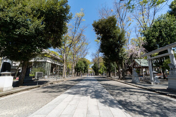 大国魂神社　府中市　東京都