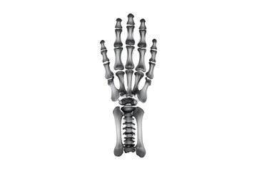 World Radiography day isolated on transparent background
