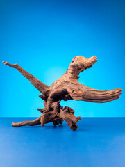 Close-up of elegant wooden driftwood suitable for aquarium or terrarium use on  purple backdrop