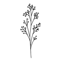 Dry Botanical Line Art Collection – Set 01