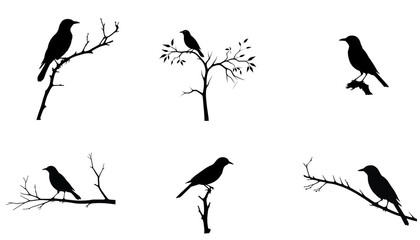 vector silhouette of duck bird flock flight over marsh herbs isolated on white background. group of wild ducks and typhaceae marsh herb with leaves and spike flowers.