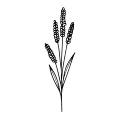 Elegant Botanical Line Art – Dried Flowers Set 03