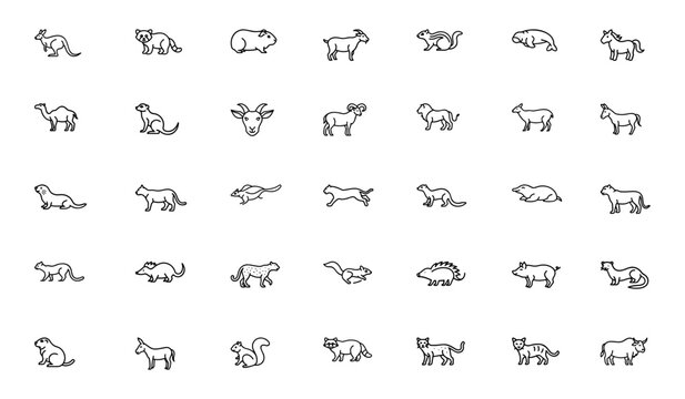 Animal Icon Set. simle icon set