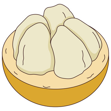 Kecapi Illustration