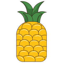 Pineapple Illustration