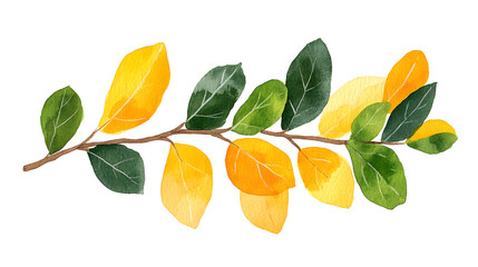A branch with leaves that are orange and yellow isolated on a transparent background