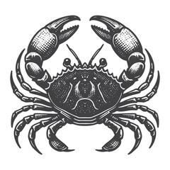 Vintage Hand-Drawn Mangrove Crab Top View Illustration &ndash; Tropical Creature Engraved Style Vector for T-Shirts, Posters, Stickers, and Nature Apparel